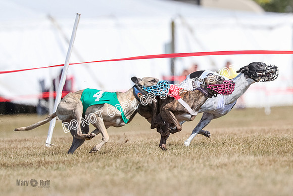 AE4I6590