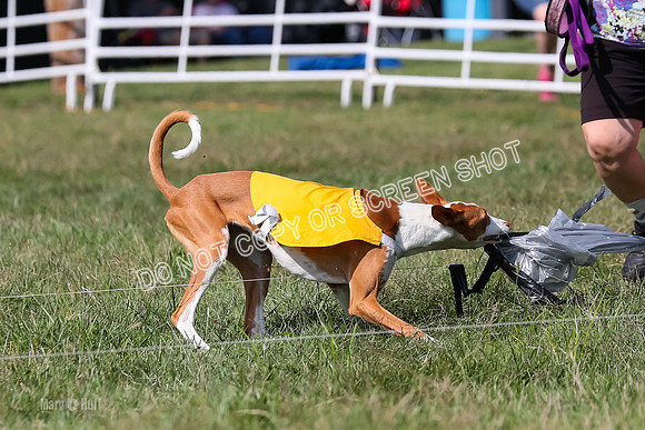 Open Prelim A2, Madyson, Razz-7655