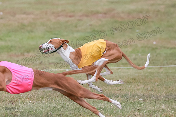 1 Prelims Fch 2 Madyson Maverick-5854