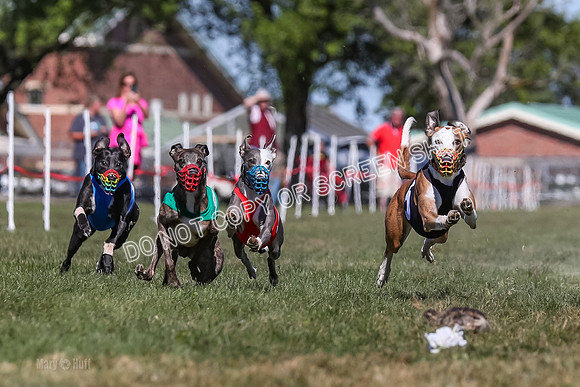 Prg 4, Race 4, Elia Zivah Moki Sansa Patsy-0157
