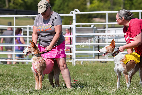 Prelim, Veteran 1, Dobby, Pepper-8765