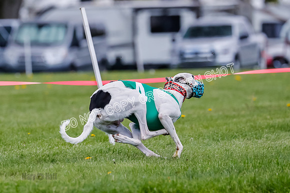 NOTRA Program 2, Race 7, Ragnar Power Sandy Elvis-2-16