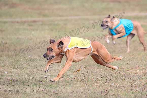 1 prelims Fch 2 Remmy Opal Oslay-6278