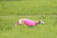 1 Prelims Open 1, LA Twister Greta-8193
