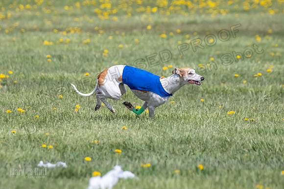 1Prelims Specials A4 Whisper Indy Crescent-1271