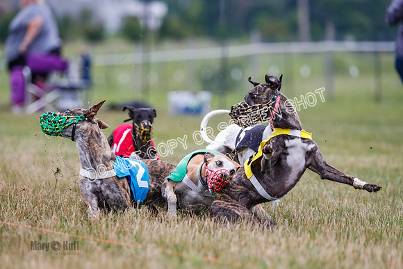 Prg 3, Race 5, Sid-Alex-Zed-Fama-Talim-1186
