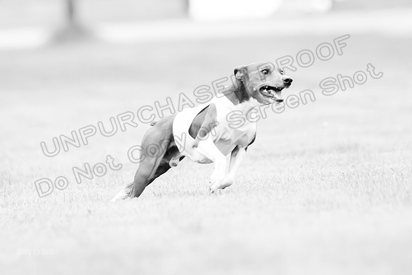 Prelims Rye-0967-2
