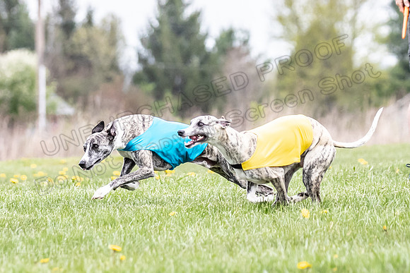 Finals Fch B1 Elan Arlo Arrow-9366