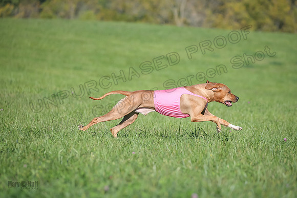 1 Prelims Open 1 Kinky Ash Zanna-4442