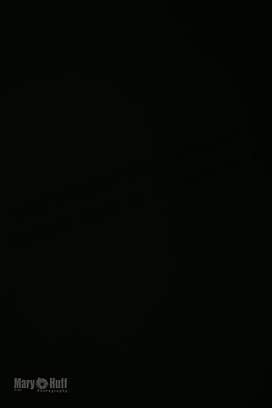 AE4I9422
