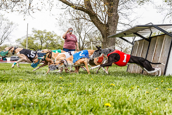 WRA, Prg 3, Race 8, Pico Sandy Hornet Tsunami Fenrir Buttercup-9217