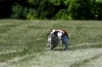AE4I6447
