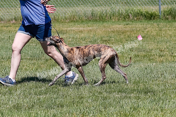 _E4I0544