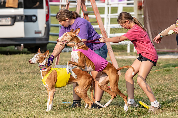 1prelims Vet 1prelim Izzy Dawn-3707
