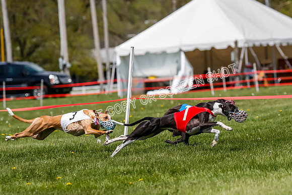 NOTRA Program 3, Race 4, Maybe Power Flora Clyps-2-3