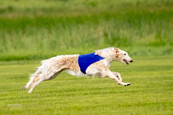 Open Prelim Bluegene Rhett Zen-0487