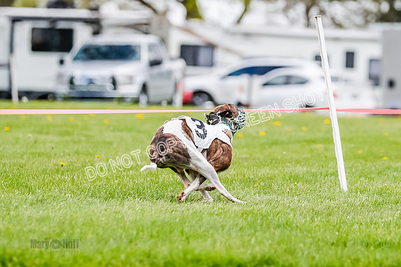 NOTRA Program 2, Race 4, Rum Moki Clyps-2-13