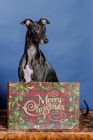 xmas Kristy-427-Edit