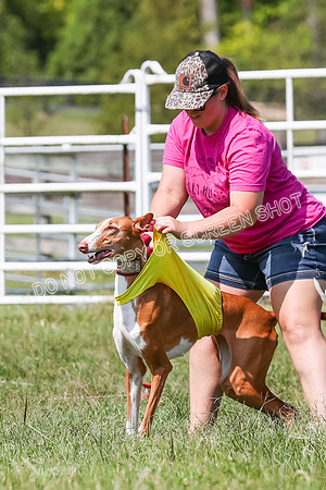 Prelim, Veteran 2, Dawn, Diva-8857
