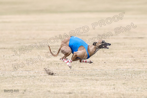 1Prelim Open 3 Eggsy Trixie Treble-3016