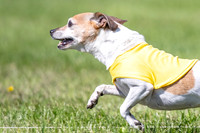 Rocki Girl-6507