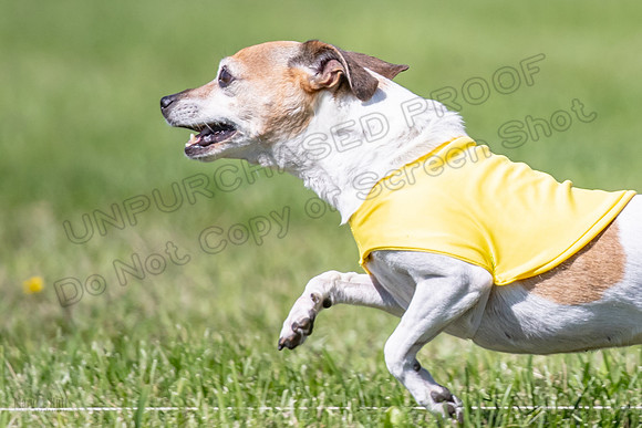 Rocki Girl-6507