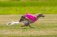 Finals Ripley Lily-0063