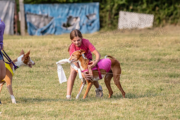 1prelims Vet 1prelim Izzy Dawn-3795