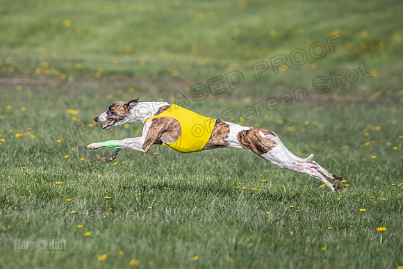 1Prelims Open E1 Boujee Riptide Zaza-0728