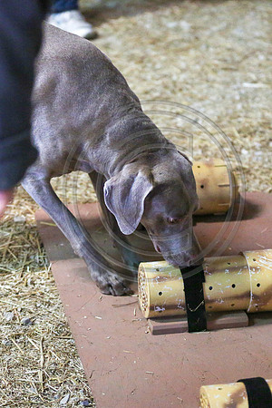 MCH52600