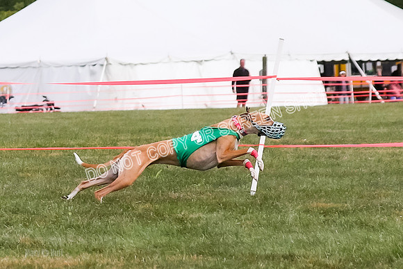 Prg 1, race 9, Rizzo Halima Sansa Flora-0787
