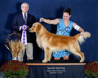Select Dog -Show 2, Saturday