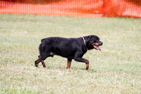 IMG_8840