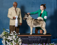 Elkhound 2020-1188-Edit