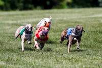 Pg 3, Race 1, Rose Tyler, Ruffian, Kazoom, Rory