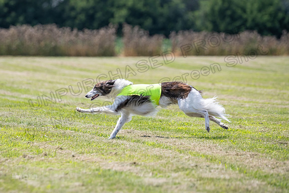 Finals Finnegan-0120