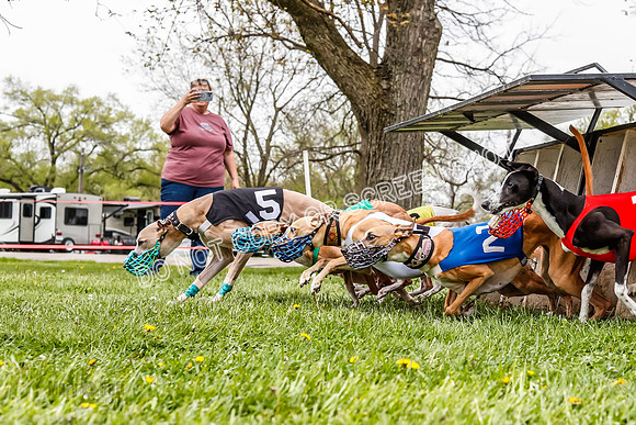 WRA, Prg 3, Race 8, Pico Sandy Hornet Tsunami Fenrir Buttercup-9215