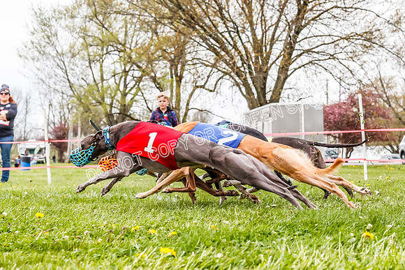 WRA, Prg 3, Race 7, Jubilee Sparks Snacks Tahoe Babblez Stormy-9208