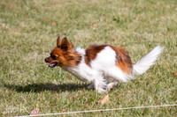 IMG_0696
