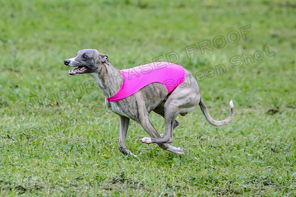Prelim Open E1, Sid Emoji Bumble-4765