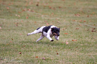 IMG_7786