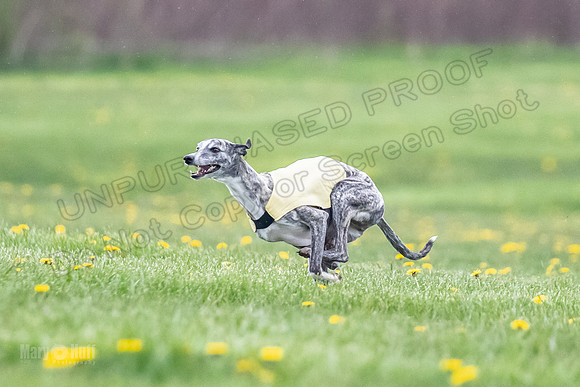 Finals Fch A1 Whisper Treble JesseJames-9063
