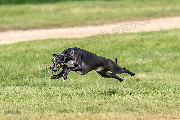 5C7A0534