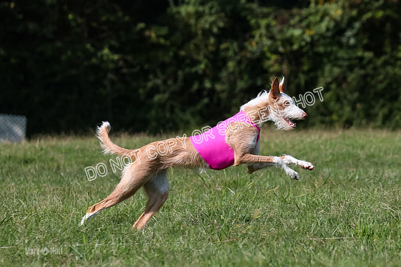 Open Prelim A2, Madyson, Razz-7647