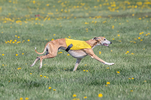 1Prelims Specials B6 Mantle PeteySue Echo-1597