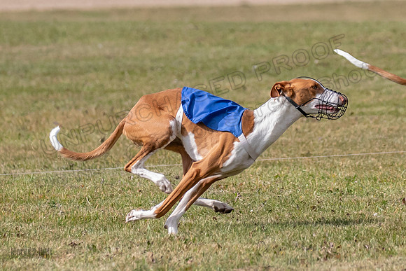 Finals Fch 1 Penny Jadis Madyson-3088