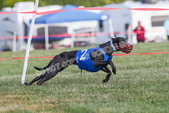 Prg 1, race 4, Rarity Hillary Barley Clyps-0647