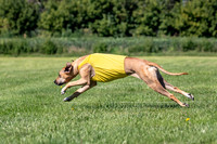 Prelims Fch 1 Islay Opal-5165