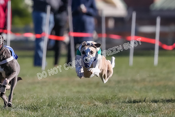 Prg 1, Race 18, Hillary Axl Chase Joplin Rum-9268