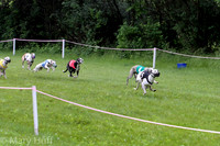 IMG_3690